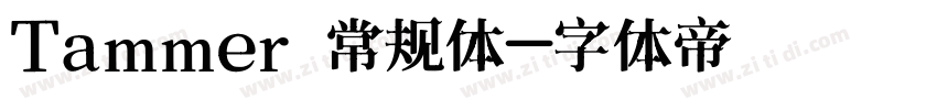 Tammer 常规体字体转换